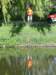 koninginnedag 2012 060_small.jpg